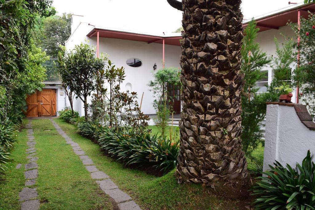 La Casa De Las Magnolias Coyoacan Exterior foto