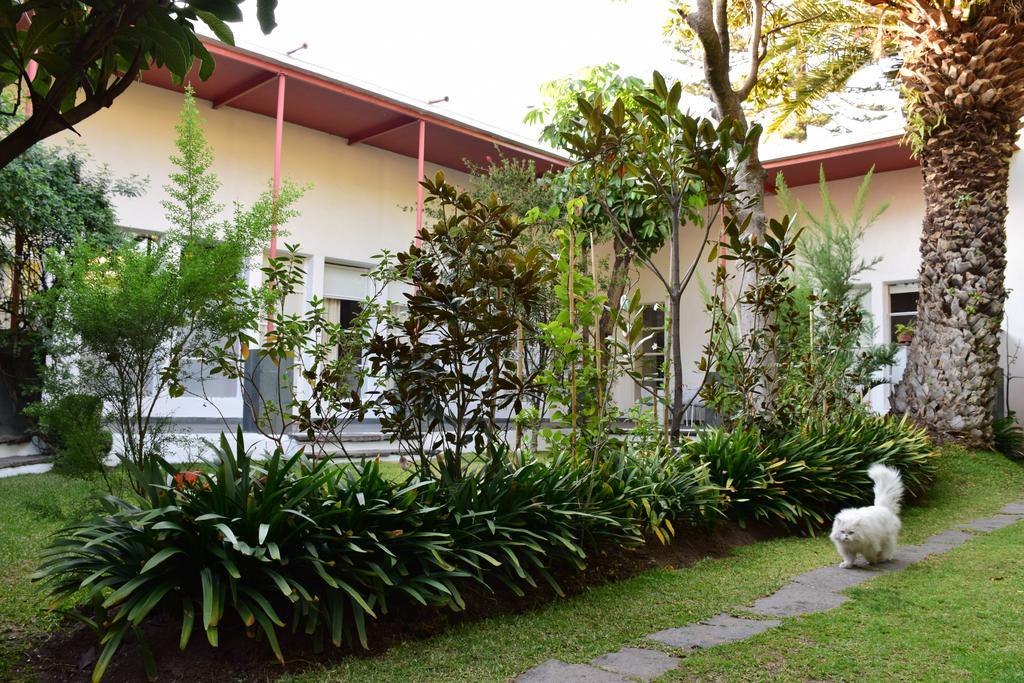 La Casa De Las Magnolias Coyoacan Exterior foto