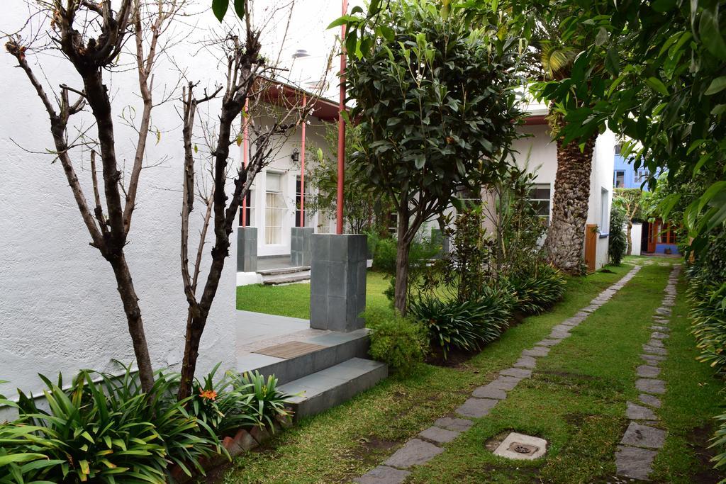 La Casa De Las Magnolias Coyoacan Exterior foto